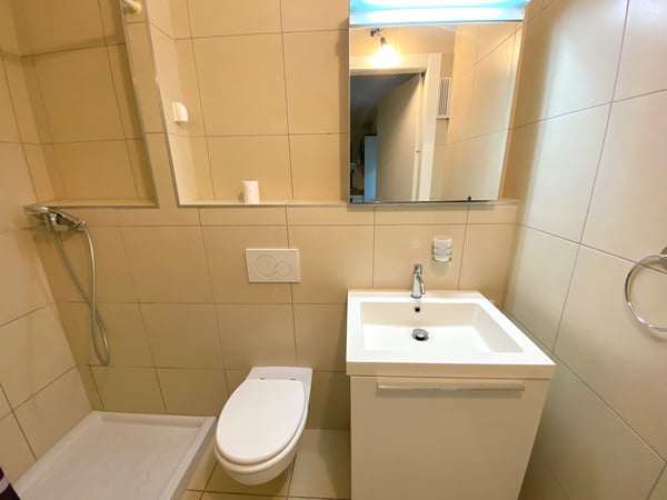 Lugano Montarina bilocale comodo Stazione FFS 4