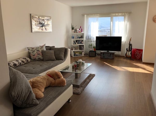 Affitto grande e luminoso appartamento 1.5 locali Giubiasco 1