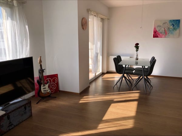 Affitto grande e luminoso appartamento 1.5 locali Giubiasco 2