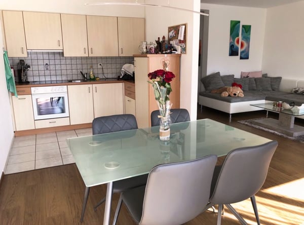 Affitto grande e luminoso appartamento 1.5 locali Giubiasco 3