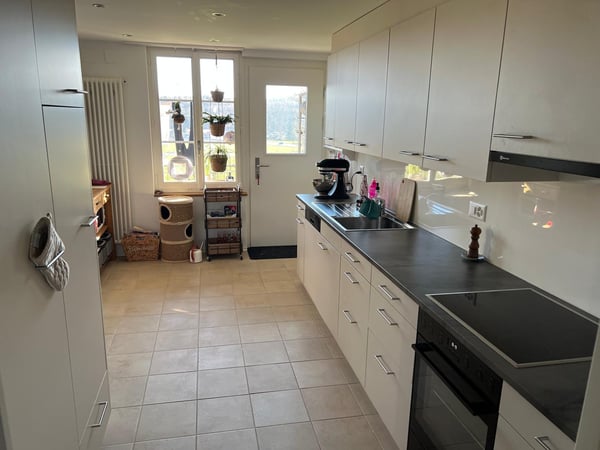 Renovierte 1.5 Zimmer-Wohnung in altem Bauernhaus 5