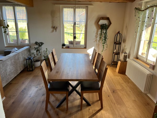 Renovierte 1.5 Zimmer-Wohnung in altem Bauernhaus 3