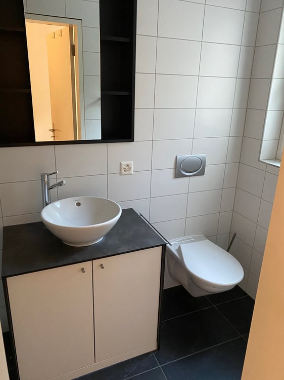 Grosse Studiowohnung mit Sitzplatz im Grünen in Rüttenen 3