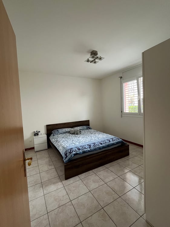 Appartamento 1.5 locali Molino Nuovo 5