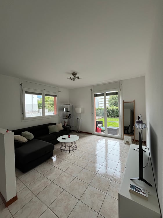 Appartamento 1.5 locali Molino Nuovo 2