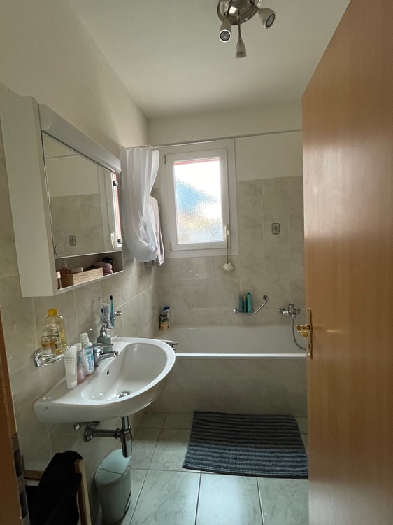 Appartamento 1.5 locali Molino Nuovo 4