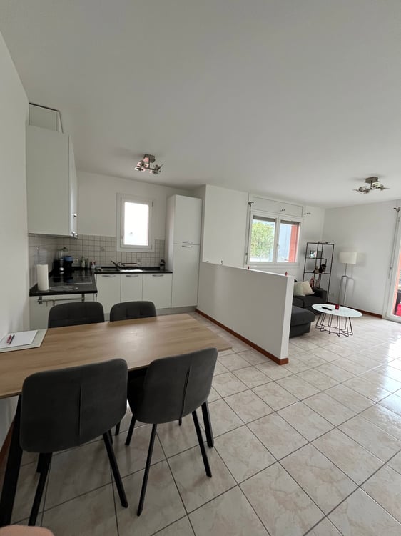 Appartamento 1.5 locali Molino Nuovo 3