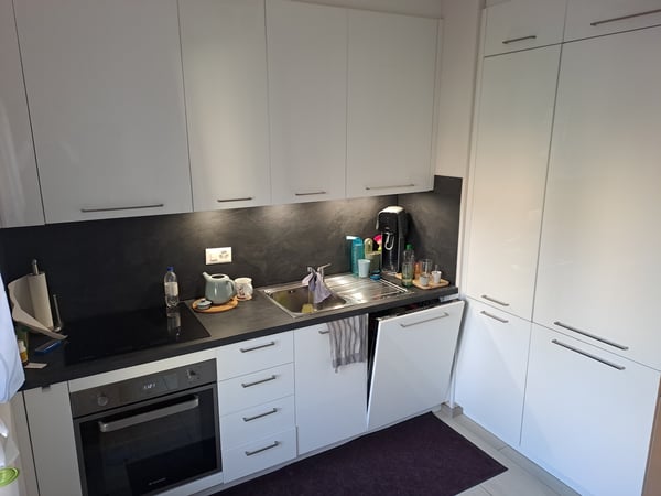 Ampio 1.5 locali Pregassona 3