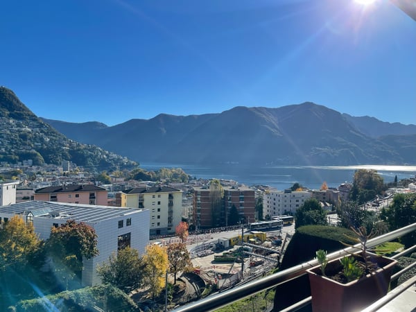 Appartamento 1.5 locali con splendida vista lago 2
