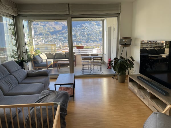 Appartamento 1.5 locali con splendida vista lago 3