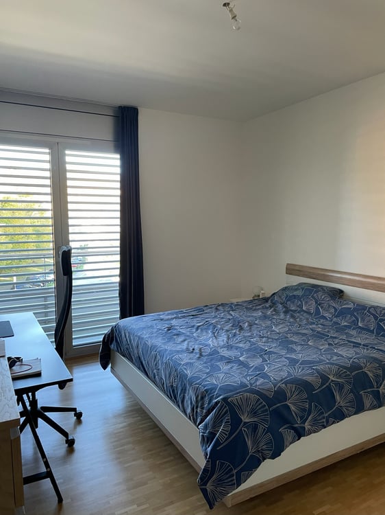 Appartamento 1.5 locali con splendida vista lago 5