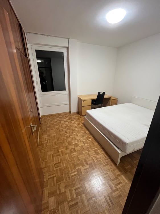 Cerco subentrante per 1.5 locali a Lugano centro 3