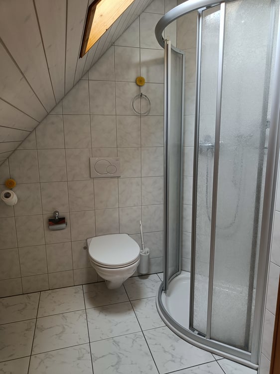 2.5 Zimmer Dachwohnung in Schwyz 5