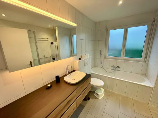 1-Zi-Attika mit toller Aussicht in 1533 (möbliert/befristet) 4