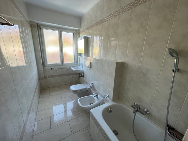 Cercasi subentrante per appartamento 1.5 a Mendrisio 3