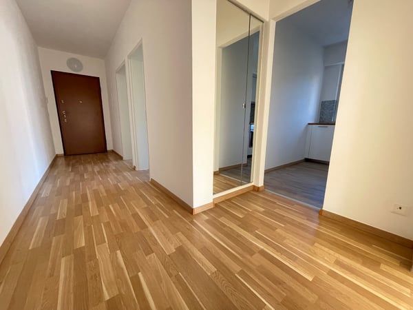 Cercasi subentrante per appartamento 1.5 a Mendrisio 2