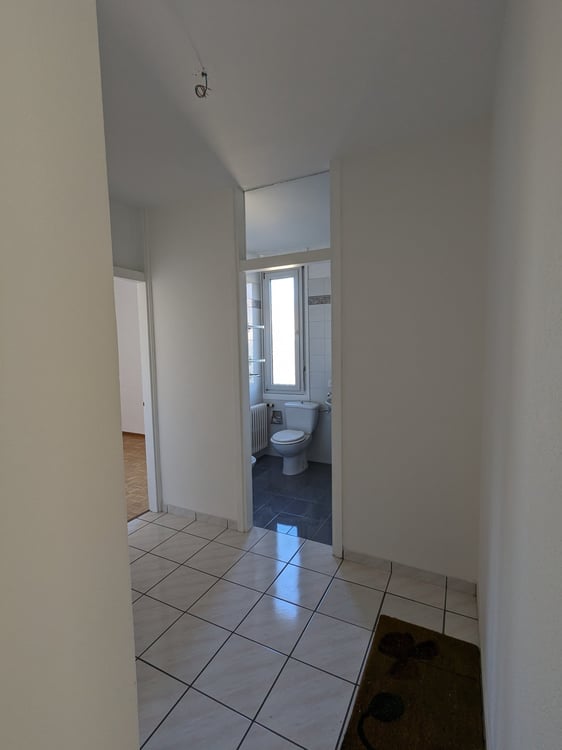 Massagno: Luminoso 1.5 locali con balcone e vista lago 3