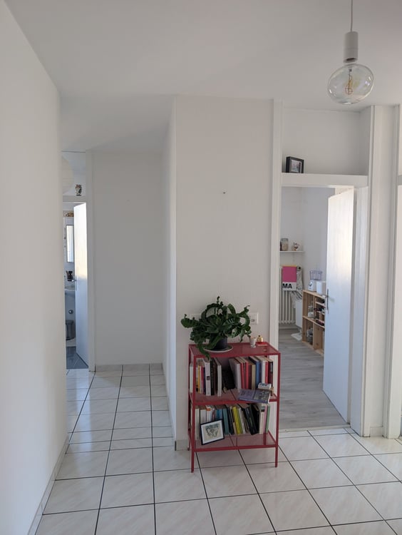 Massagno: Luminoso 1.5 locali con balcone e vista lago 2