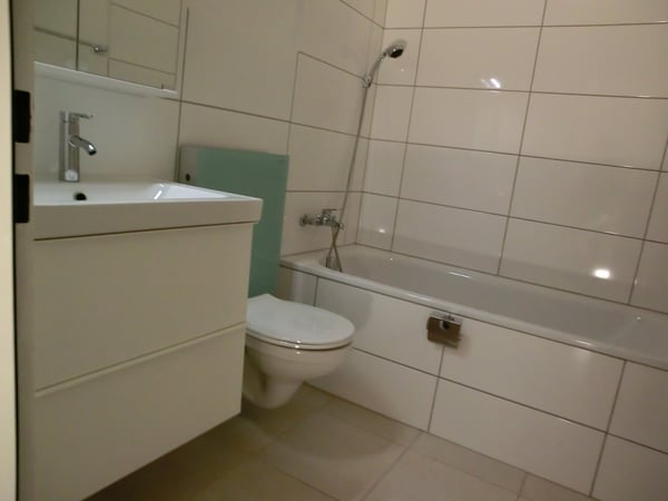 Grosszügige, sonnige, ruhige 1.5 Zimmer-Wohnung 4