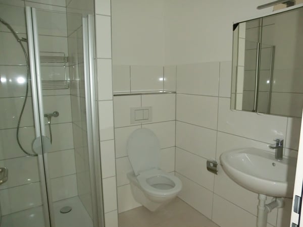 Grosszügige, sonnige, ruhige 1.5 Zimmer-Wohnung 5