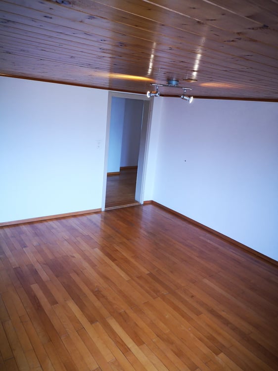 Grosszügige, helle 1.5 Zimmerwohnung zu vermieten 5