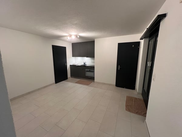 Helle 1.5-Zimmer-Wohnung mit Sitzplatz per Sofort 2