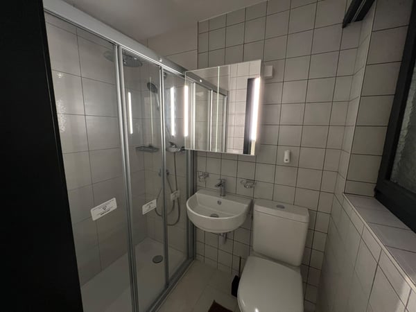 Helle 1.5-Zimmer-Wohnung mit Sitzplatz per Sofort 3