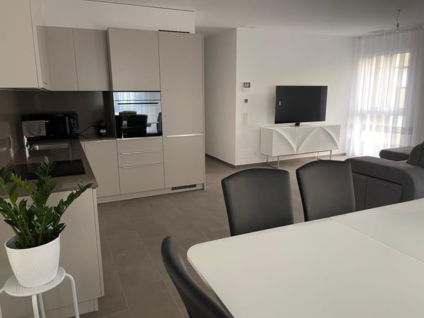 Luminoso appartamento 1.5 locali 1