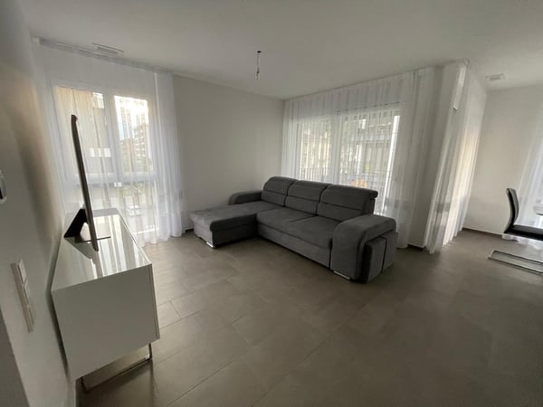 Luminoso appartamento 1.5 locali 2