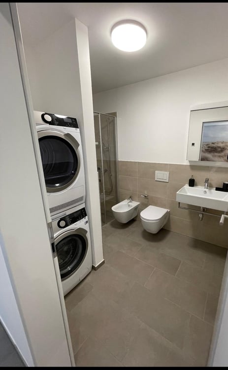 Luminoso appartamento 1.5 locali 3