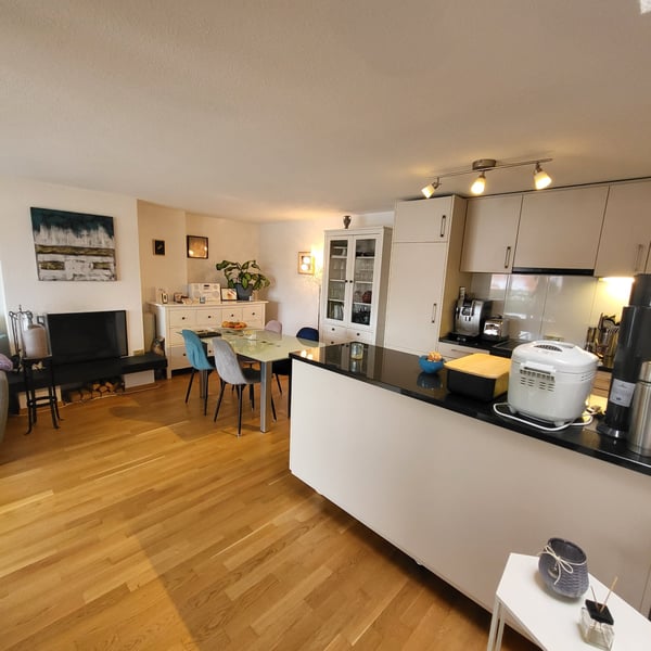 Schöne 1.5 Zimmer Attika-Wohnung 1