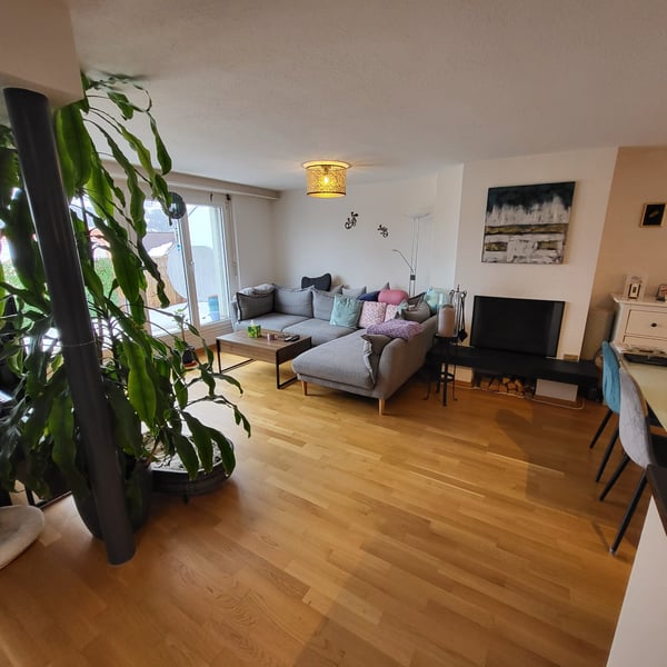 Schöne 1.5 Zimmer Attika-Wohnung 2