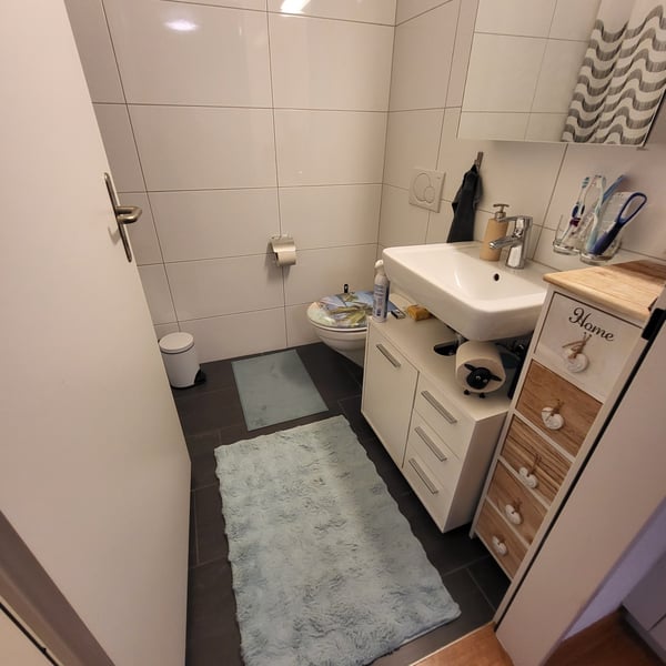 Schöne 1.5 Zimmer Attika-Wohnung 5