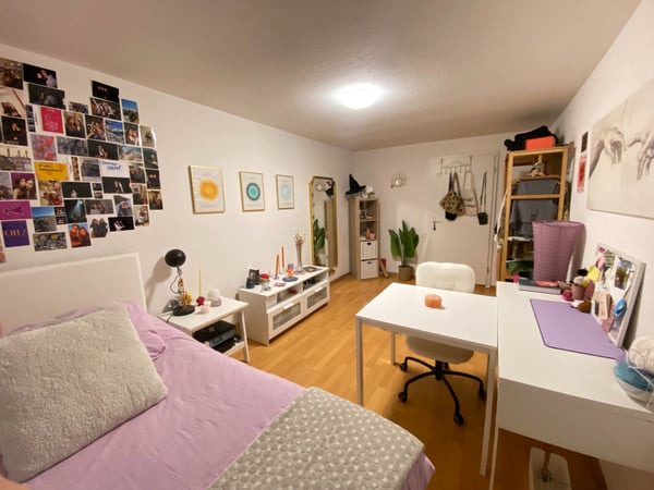 Appartamento Lucerna (Cercasi Subentrante) 2