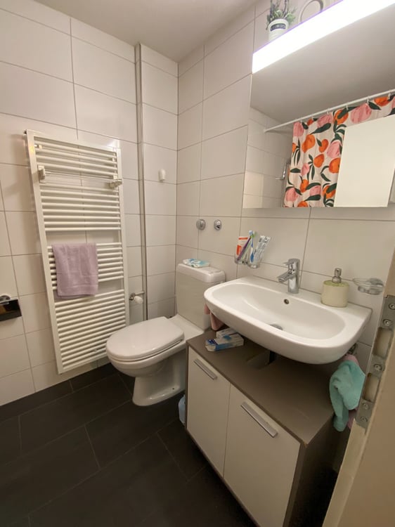 Appartamento Lucerna (Cercasi Subentrante) 5