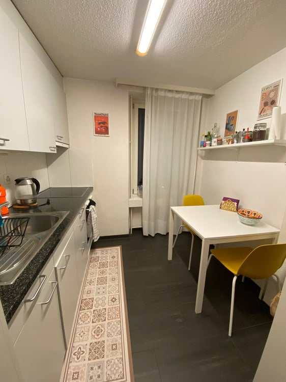 Appartamento Lucerna (Cercasi Subentrante) 4