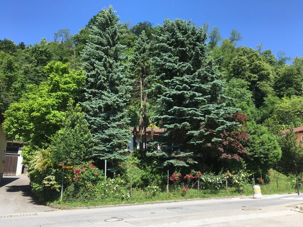 Terreno edificabile soleggiato centrale ottimamente servito 2