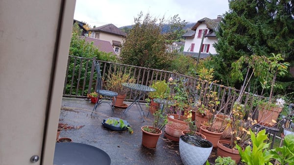 1-Zimmer Wohnung ? Renoviert ? Grosse Terrasse ? Ab 1. März 3