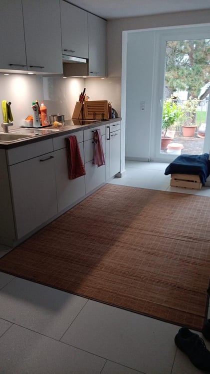 1-Zimmer Wohnung ? Renoviert ? Grosse Terrasse ? Ab 1. März 1