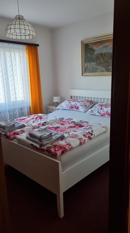 Affitto camera matrimoniale ammobiliata in grande casa 1