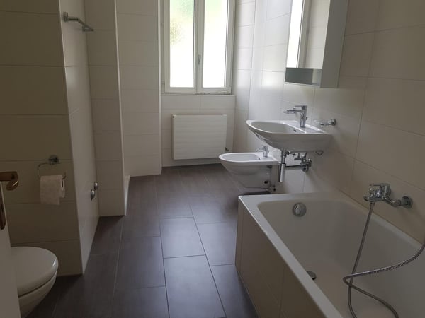 Cercasi subentrante per appartamento spazioso (1.5 locali) 3