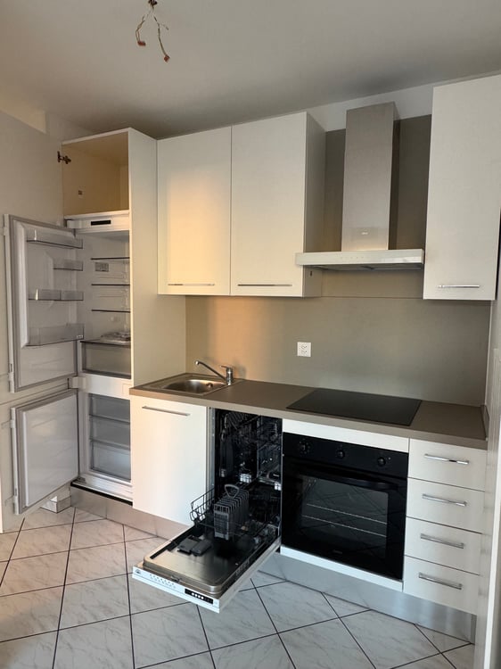 Appartamento 1.5 rinnovato a Locarno 2