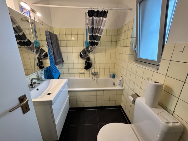 Subentrante appartamento 1.5 locali Ascona 4