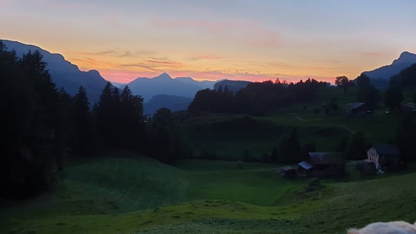 Aperçu de l'image de l'immobilier