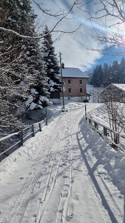 Charmantes Bauernhaus mit grossem Potenzial zu vermieten 4