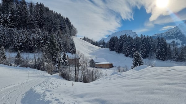 Charmantes Bauernhaus mit grossem Potenzial zu vermieten 2