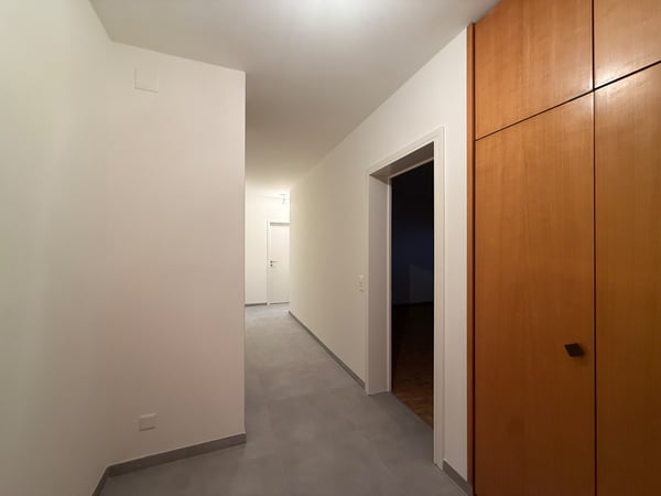 Grande due locali con terrazzo 2