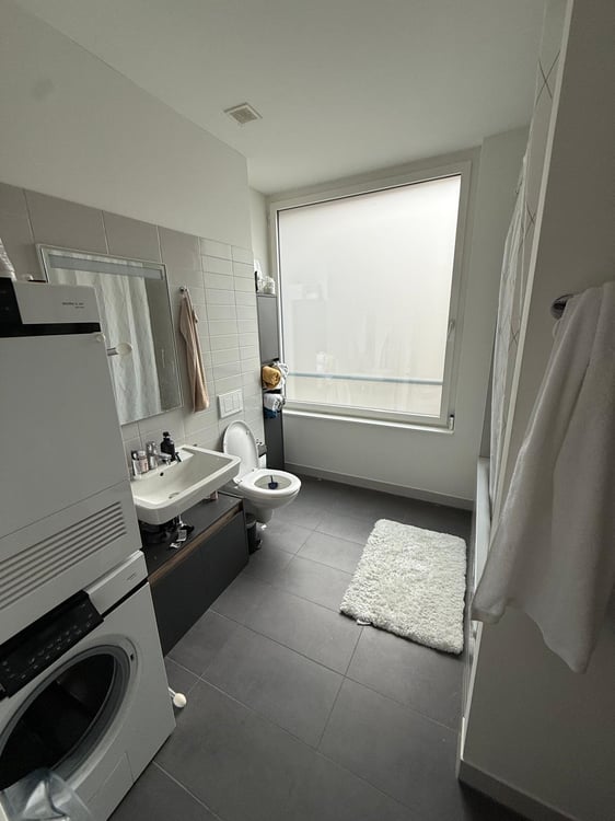 1 ½ Zimmer-Möblierte Wohnung zur Untermiete in Dietikon 4