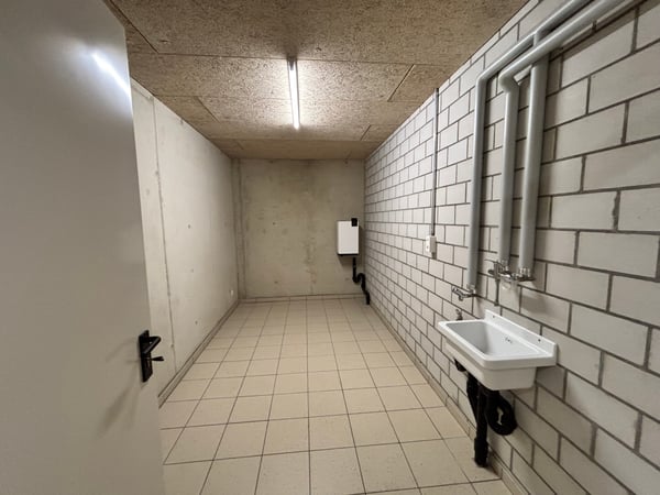 Luminoso 1.5 libero da subito 5