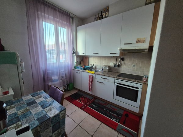 Cerco subentrante, data da convenire (max febbraio 2026) 5